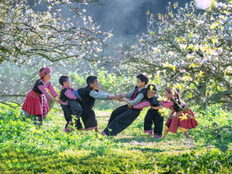 ảnh bìa mộc hâu