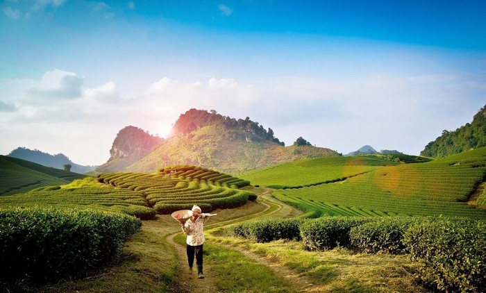 Tour Mộc Châu