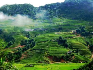 Toàn cảnh mai châu